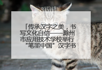 传承汉字之美，书写文化自信——滁州市应用技术学校举行“笔墨中国”汉字书写比赛表彰大会