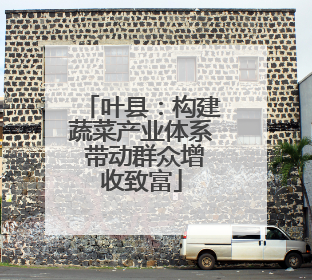 叶县：构建蔬菜产业体系 带动群众增收致富