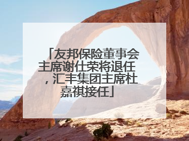 友邦保险董事会主席谢仕荣将退任，汇丰集团主席杜嘉祺接任