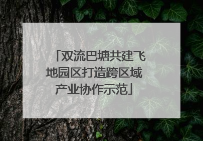 双流巴塘共建飞地园区打造跨区域产业协作示范