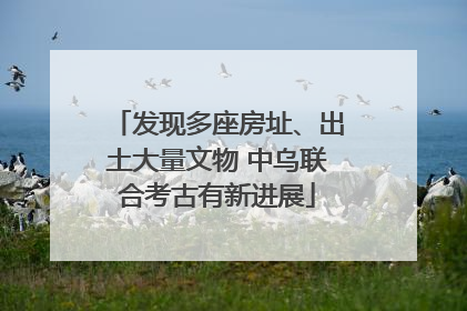 发现多座房址、出土大量文物 中乌联合考古有新进展