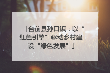 台前县孙口镇：以“红色引擎”驱动乡村建设“绿色发展”