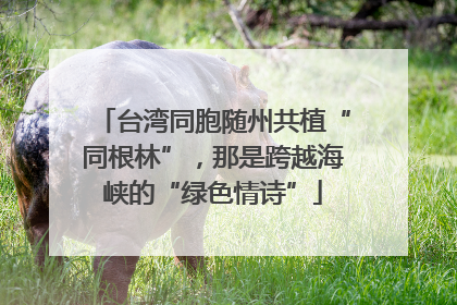 台湾同胞随州共植“同根林”，那是跨越海峡的“绿色情诗”
