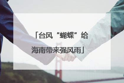 台风“蝴蝶”给海南带来强风雨