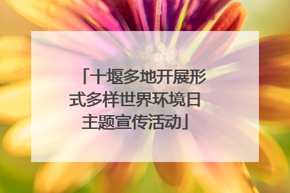 十堰多地开展形式多样世界环境日主题宣传活动