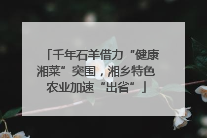 千年石羊借力“健康湘菜”突围，湘乡特色农业加速“出省”