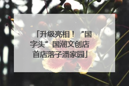 升级亮相！“国字头”国潮文创店首店落子潘家园