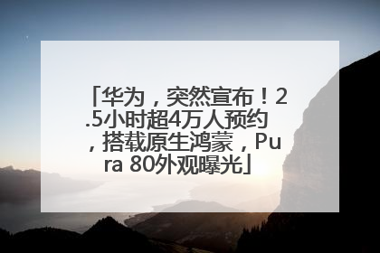 华为，突然宣布！2.5小时超4万人预约，搭载原生鸿蒙，Pura 80外观曝光