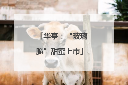 华亭：“玻璃脆”甜蜜上市