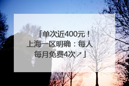 单次近400元！上海一区明确：每人每月免费4次↗