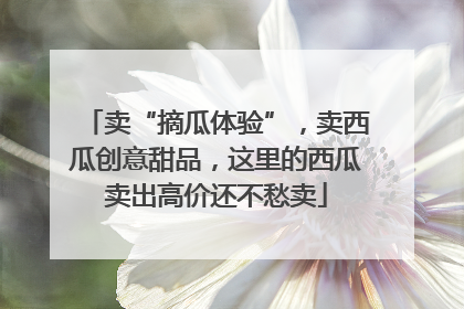 卖“摘瓜体验”，卖西瓜创意甜品，这里的西瓜卖出高价还不愁卖