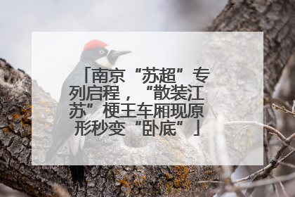 南京“苏超”专列启程，“散装江苏”梗王车厢现原形秒变“卧底”