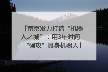 南京发力打造“机器人之城”：用3年时间“强攻”具身机器人