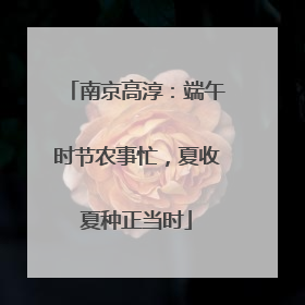 南京高淳：端午时节农事忙，夏收夏种正当时