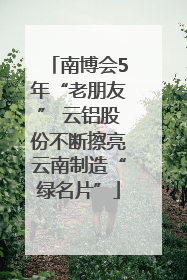 南博会5年“老朋友” 云铝股份不断擦亮云南制造“绿名片”