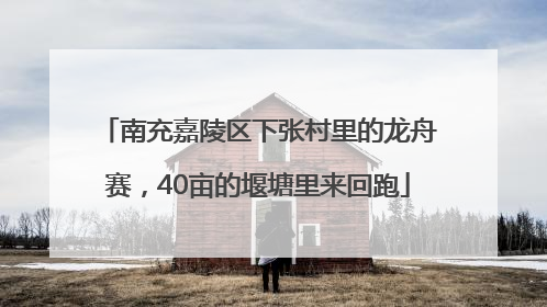 南充嘉陵区下张村里的龙舟赛，40亩的堰塘里来回跑