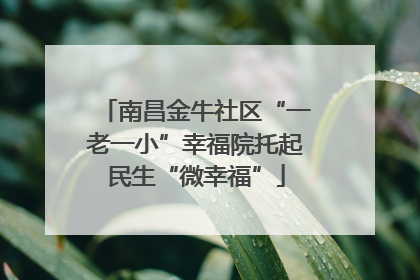 南昌金牛社区“一老一小”幸福院托起民生“微幸福”