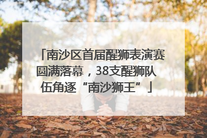 南沙区首届醒狮表演赛圆满落幕，38支醒狮队伍角逐“南沙狮王”