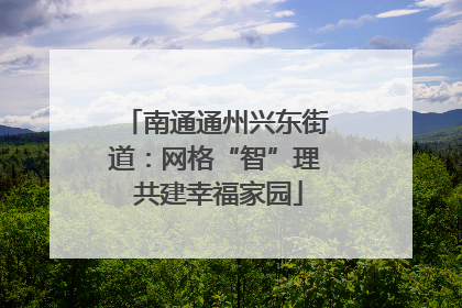 南通通州兴东街道：网格“智”理 共建幸福家园