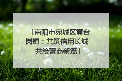 南阳市宛城区黄台岗镇：共筑信用长城 共绘营商新篇