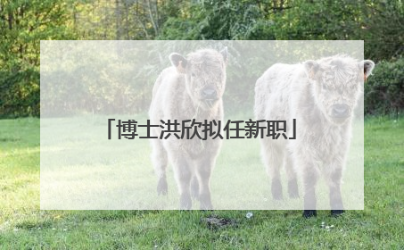 博士洪欣拟任新职