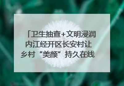 卫生抽查+文明浸润 内江经开区长安村让乡村“美颜”持久在线｜万千气象看四川
