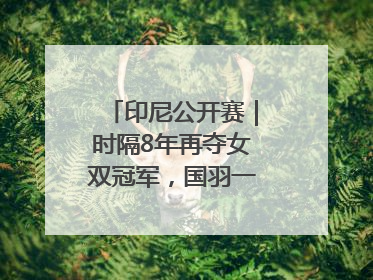 印尼公开赛｜时隔8年再夺女双冠军，国羽一金一银收官