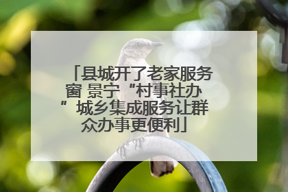 县城开了老家服务窗 景宁“村事社办”城乡集成服务让群众办事更便利