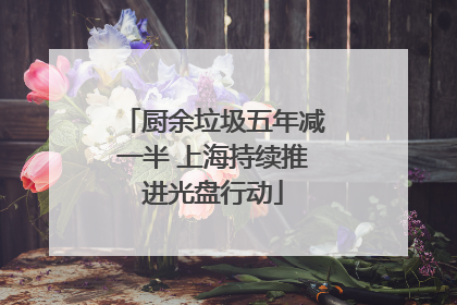 厨余垃圾五年减一半 上海持续推进光盘行动