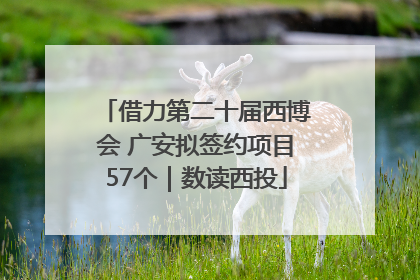 借力第二十届西博会 广安拟签约项目57个｜数读西投