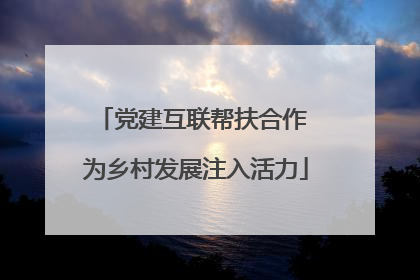 党建互联帮扶合作 为乡村发展注入活力
