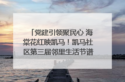 党建引领聚民心 海棠花红映凯马！凯马社区第三届邻里生活节谱写幸福新篇章