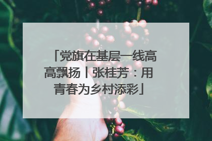 党旗在基层一线高高飘扬丨张桂芳：用青春为乡村添彩