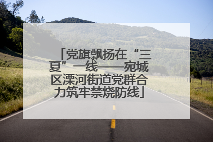 党旗飘扬在“三夏”一线——宛城区溧河街道党群合力筑牢禁烧防线