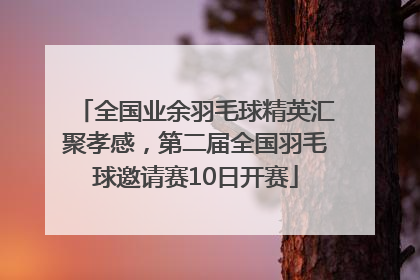全国业余羽毛球精英汇聚孝感，第二届全国羽毛球邀请赛10日开赛