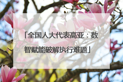 全国人大代表高亚：数智赋能破解执行难题