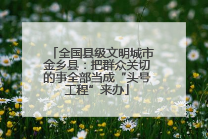 全国县级文明城市金乡县：把群众关切的事全部当成“头号工程”来办