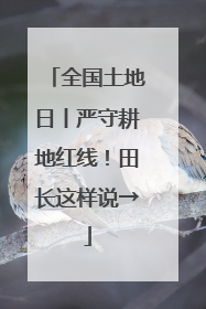 全国土地日丨严守耕地红线！田长这样说→