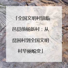 全国文明村镇临邑县前杨新村：从贫困村到全国文明村华丽蜕变