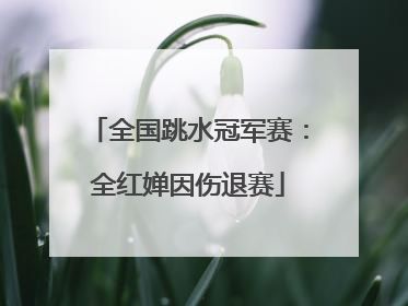 全国跳水冠军赛：全红婵因伤退赛