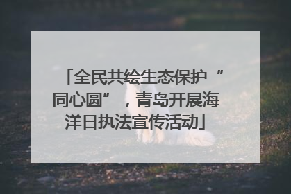 全民共绘生态保护“同心圆”，青岛开展海洋日执法宣传活动