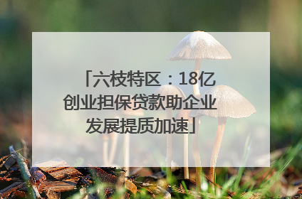六枝特区：18亿创业担保贷款助企业发展提质加速