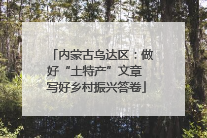 内蒙古乌达区：做好“土特产”文章 写好乡村振兴答卷