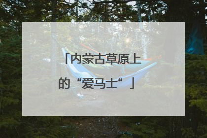 内蒙古草原上的“爱马士”