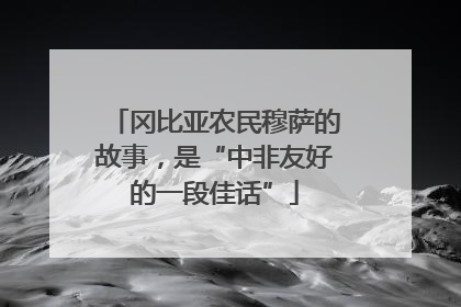 冈比亚农民穆萨的故事，是“中非友好的一段佳话”