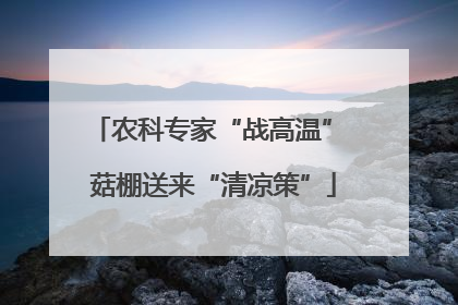 农科专家“战高温” 菇棚送来“清凉策”
