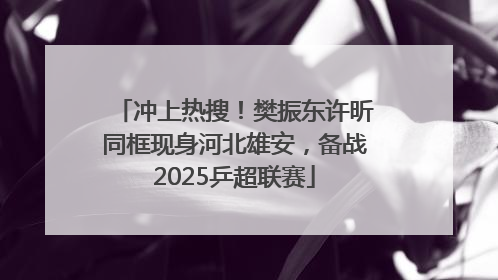 冲上热搜！樊振东许昕同框现身河北雄安，备战2025乒超联赛