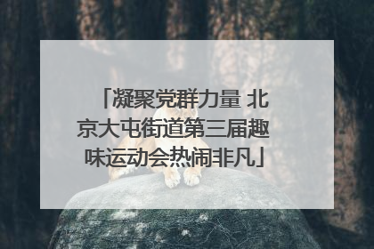 凝聚党群力量 北京大屯街道第三届趣味运动会热闹非凡