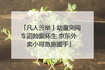 凡人善举丨幼童突闯车道险象环生 京东外卖小哥急施援手
