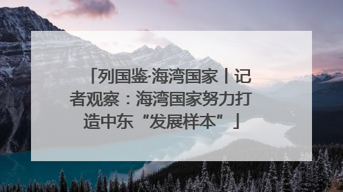 列国鉴·海湾国家丨记者观察：海湾国家努力打造中东“发展样本”